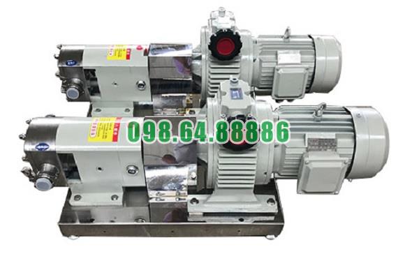 Máy bơm cánh khế 3RP-5 lưu lượng 3 m3/h tốc độ quay 1000 vòng/phút đường kính kết nối 25 mm