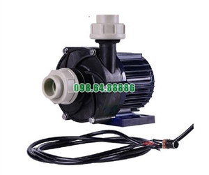 Bán máy bơm dẫn động từ TDM-400ERU-DC48 đẩy cao 7m công suất đầu ra 159w