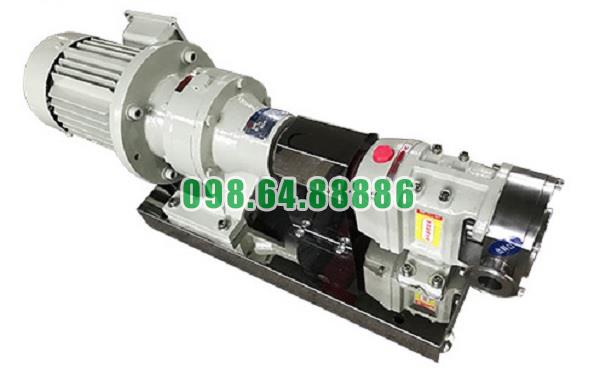 Máy bơm lobe 3RP-60 áp suất 0,6 MPa tốc độ quay 500 vòng/phút